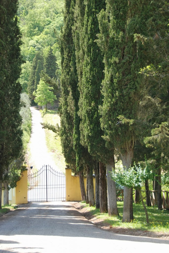 San Fedele - Front gate 