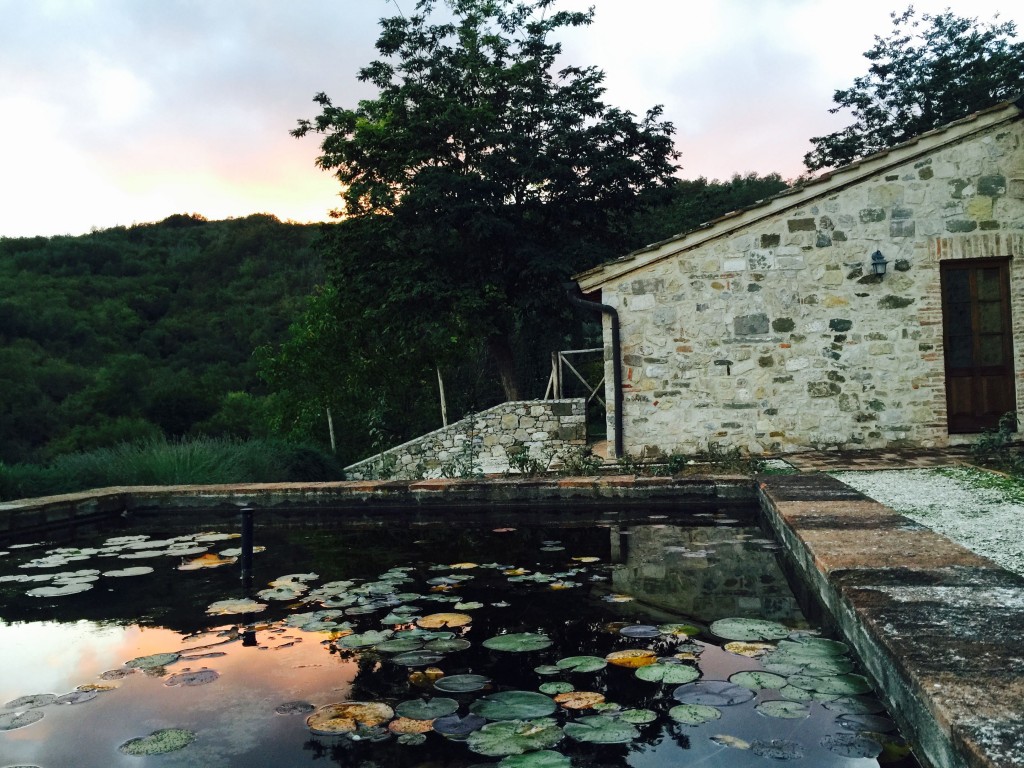 Glowing Sky at San Fedele reflected in the lily pond